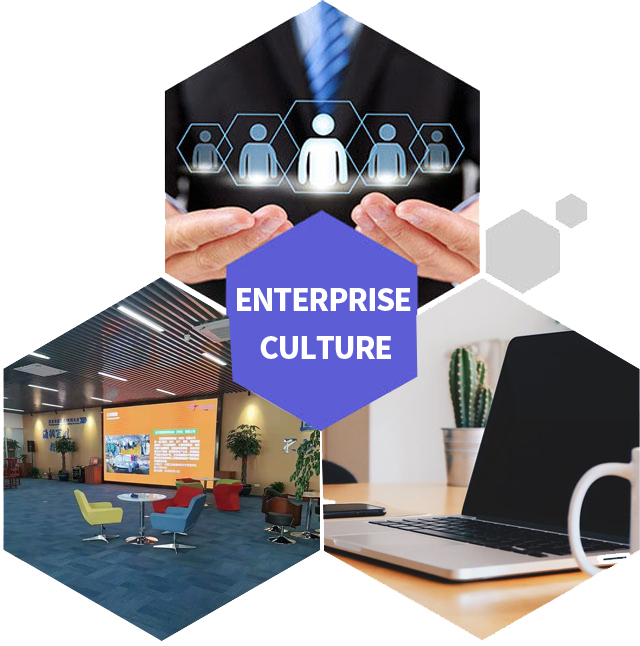 Enterprise Culture